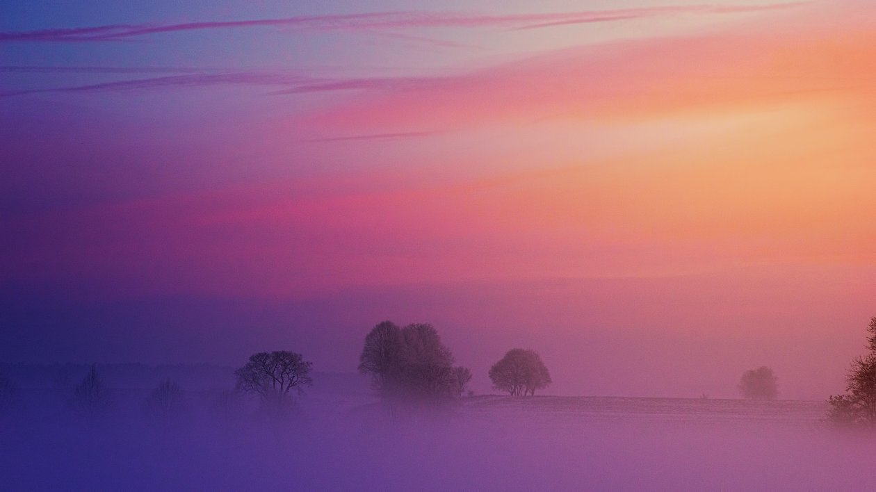 Pastel Morning 5k