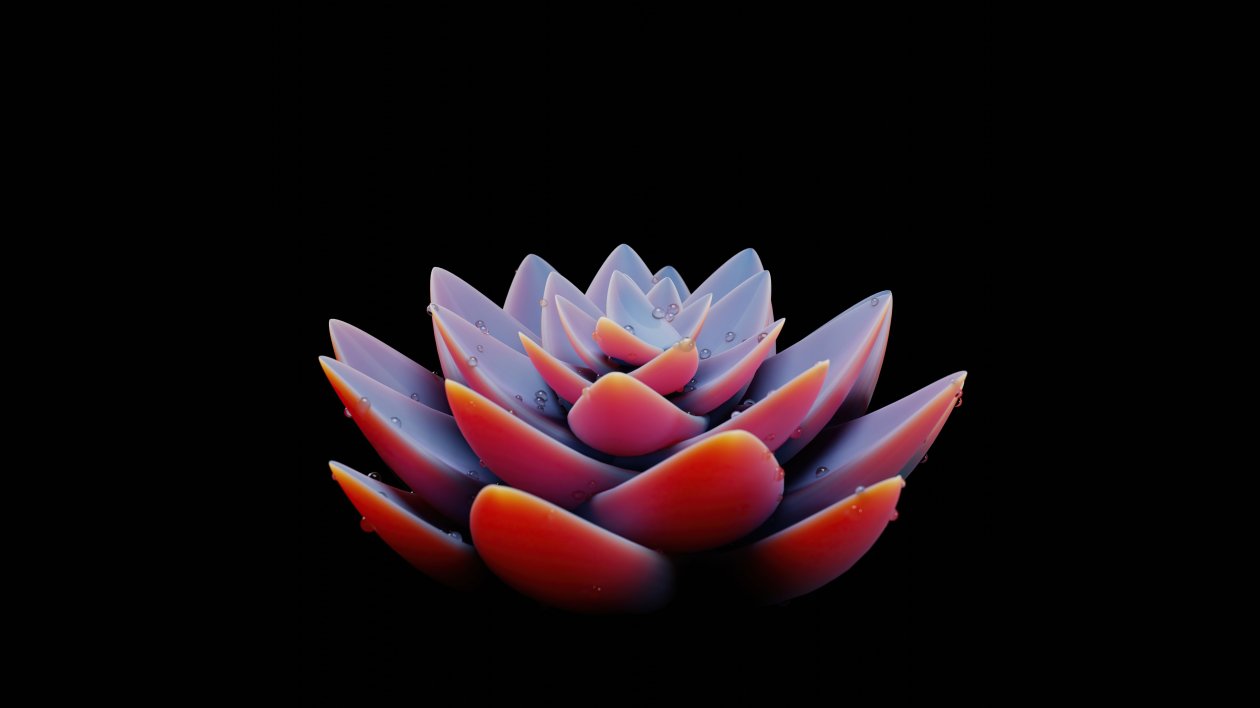 Bldender Flower Plant 5k