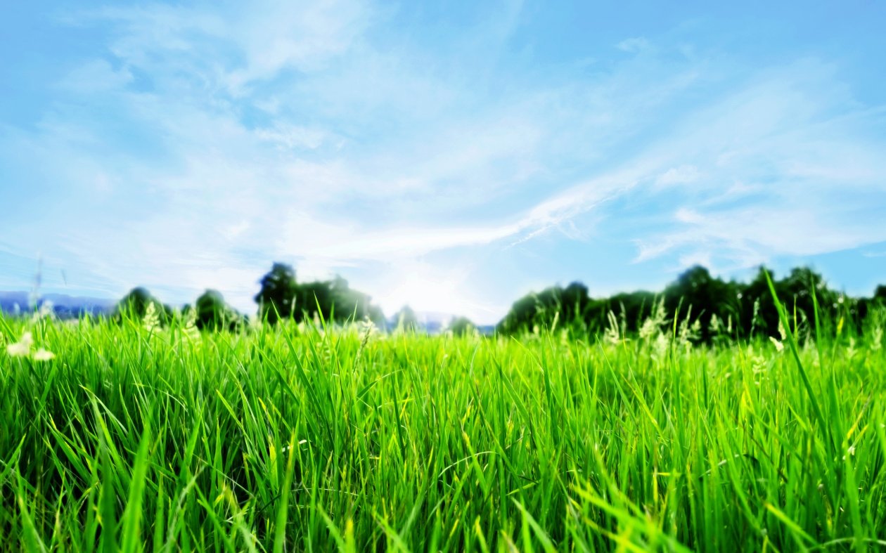 Green Horizon HD