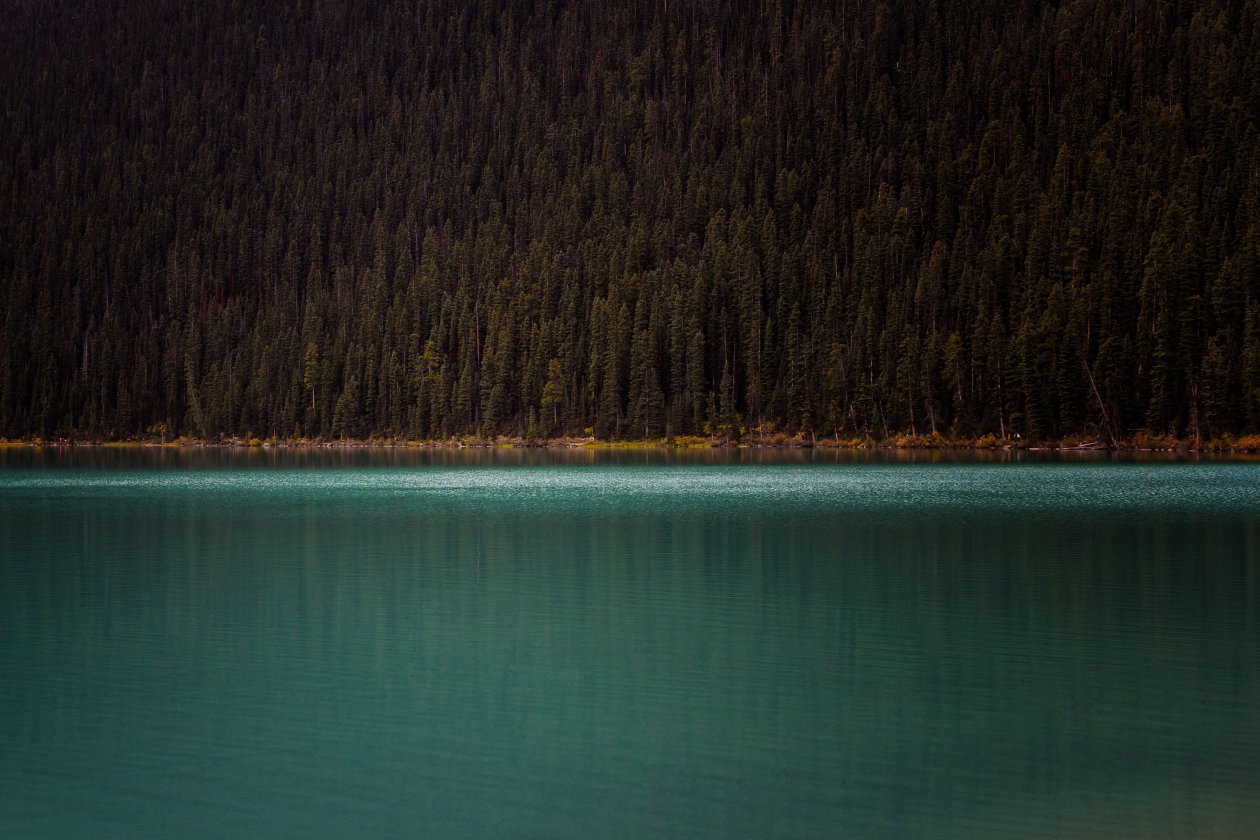 Mountains Trees
