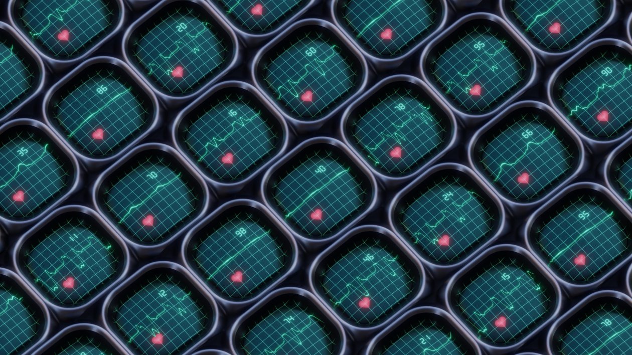 Heart Activity Monitors 4k