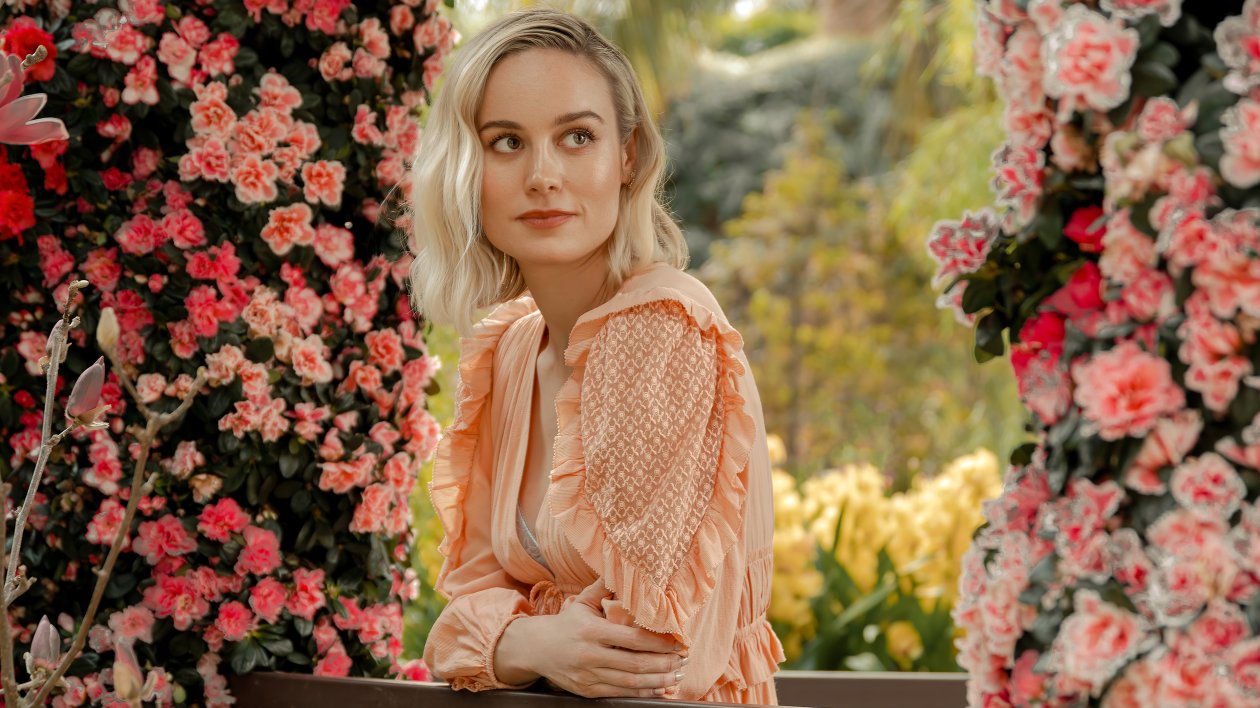 4k Brie Larson Photoshop 2019