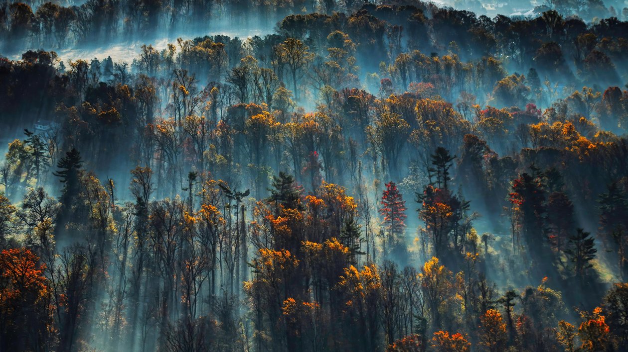 Morning Mist On The Eastern Shore Of The Chesapeake Bay 4k