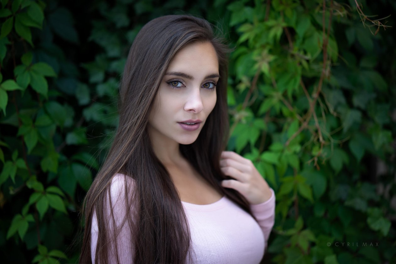 Pavlina Model