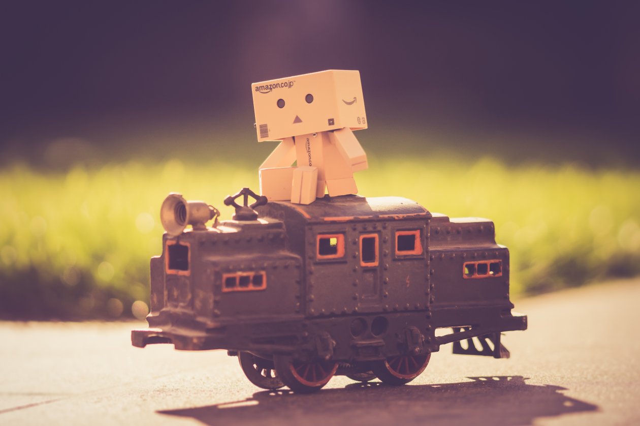 Danbo Train 5k