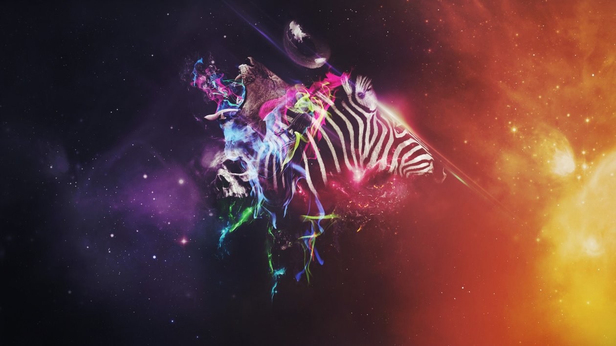 Animals Colorful Abstract