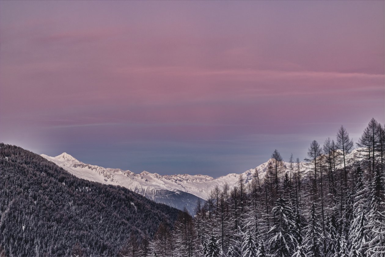 Mountain Covered With Snow And Surrounedd In Trees 5k