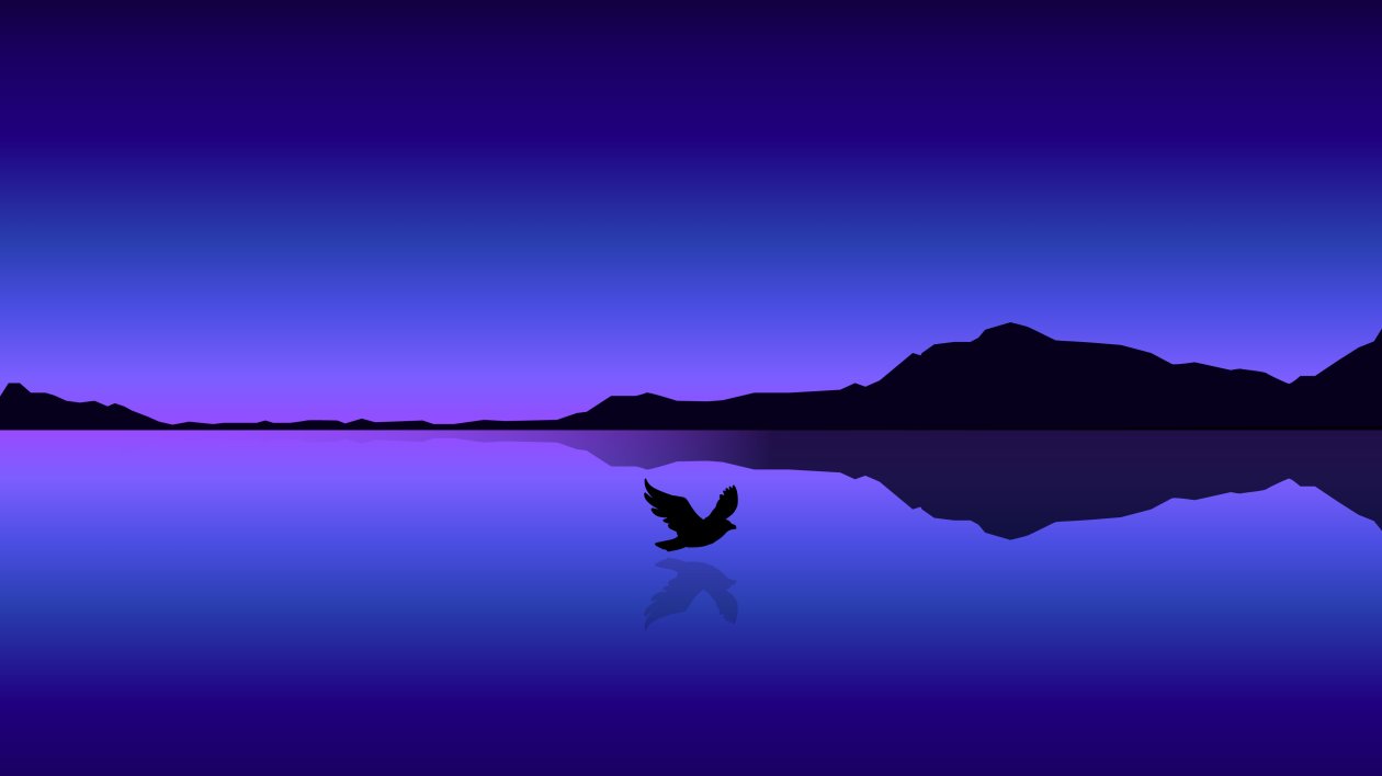 Bird Flying Over Ocean Minimal 4k