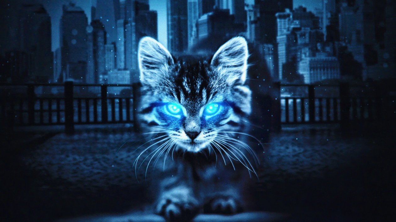 Cat Glowing Eyes 4k