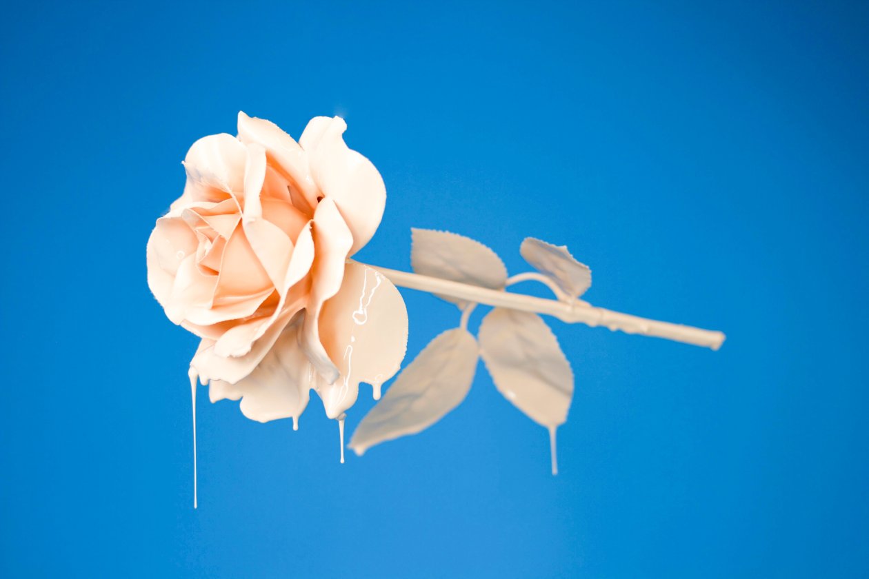 Liquid Rose 4k
