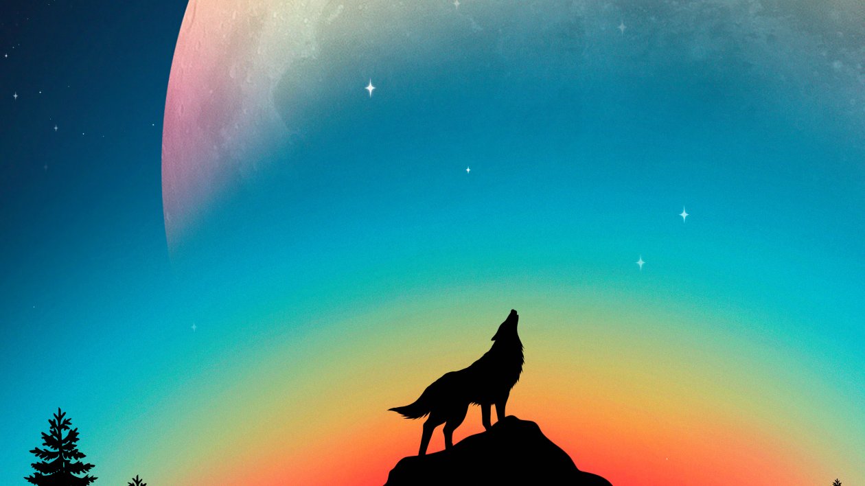 Wolf Howling Minimal 4k