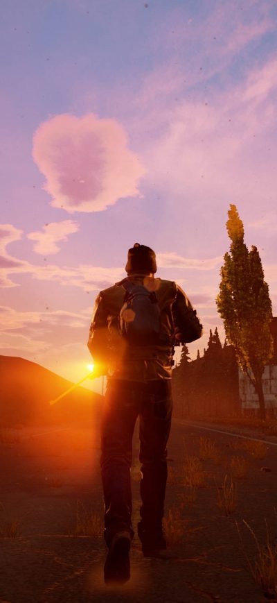 Fond d'écran iPhone State Of Decay Art