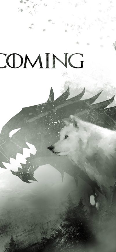 Fond d'écran Winter Is Coming Artwork sur iPhone