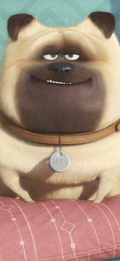 Fond d'écran iPhone The Secrete Life of Pets Original