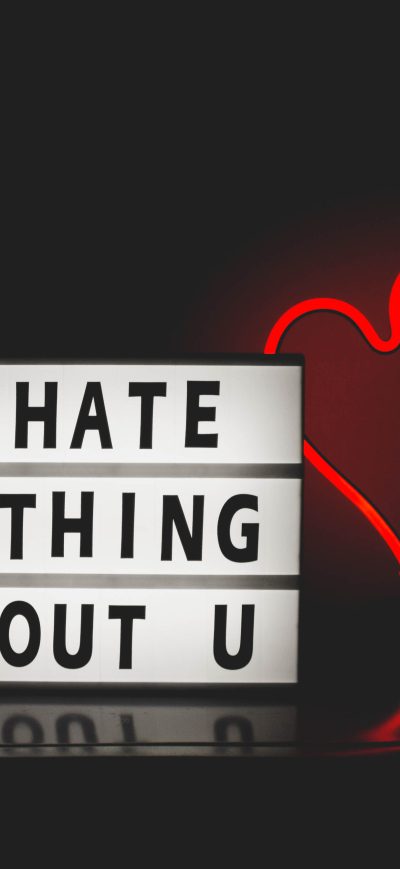 Fond d'écran I Hate Nothing About You sur iPhone
