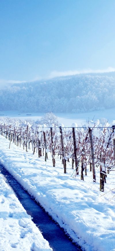 Fond d'écran Winter Land sur iPhone