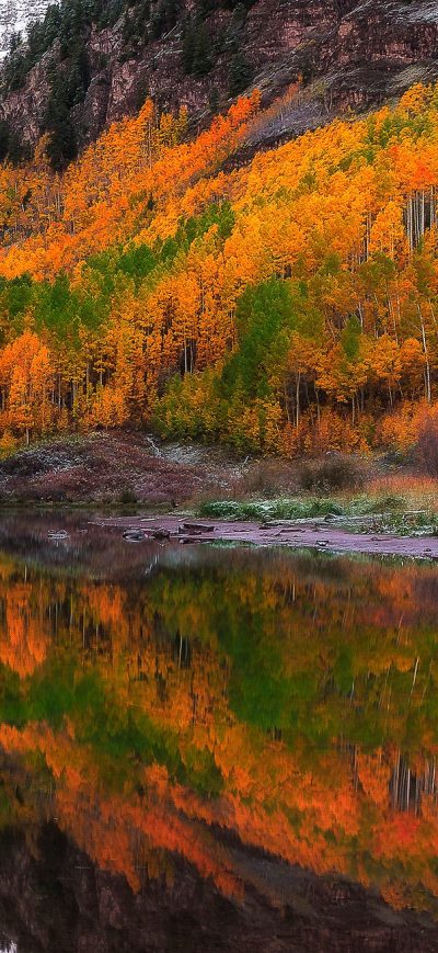 Fond d'écran iPhone Fall Foliage Forest Lake Nature Reflection