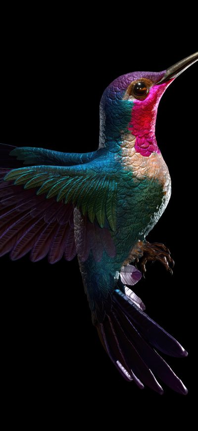 Fond d'écran iPhone Hummingbird Dark 5k