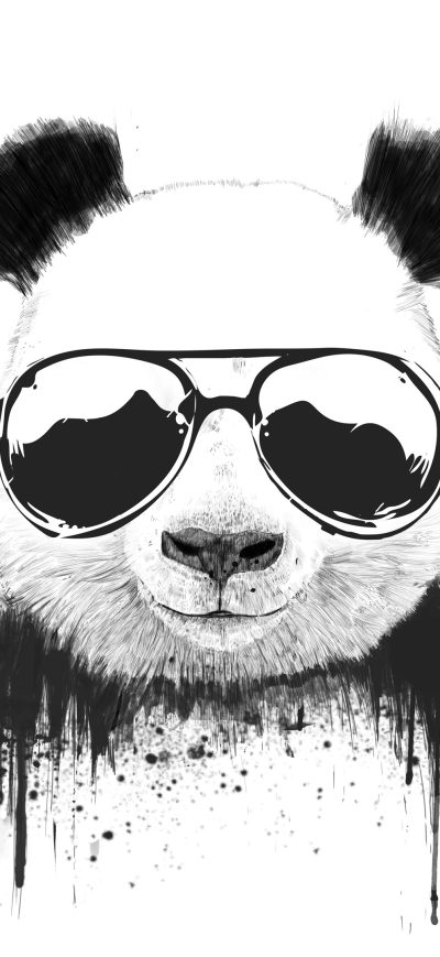 Fond d'écran iPhone Stay Cool Panda