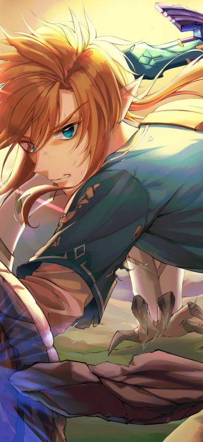 Fond d'écran iPhone The Legend Of Zelda Breath Of The Wild 4k 5k