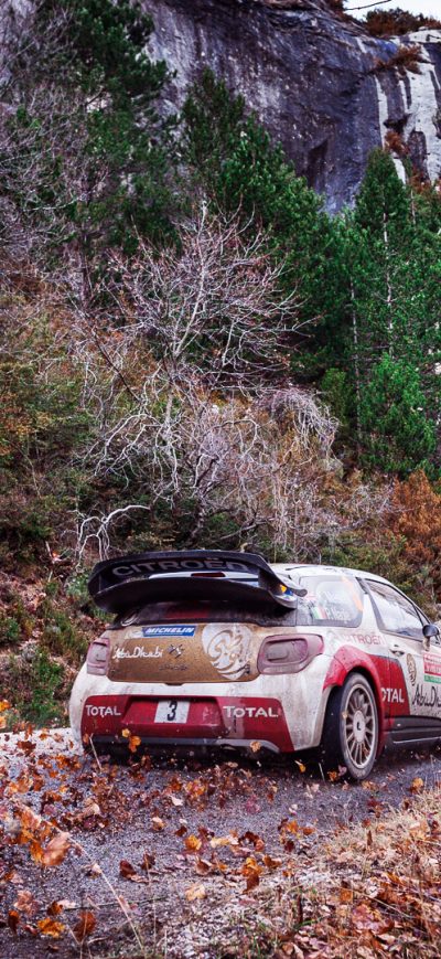 Fond d'écran iPhone Citroen Ds3 Rally Fall