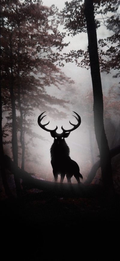 Fond d'écran iPhone Deer Fantasy Artwork 4k