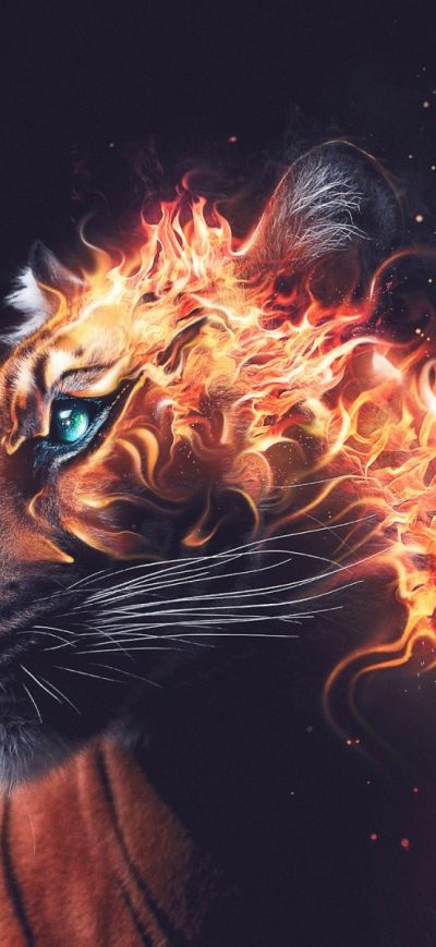 Fond d'écran iPhone Tiger Fire Graphics