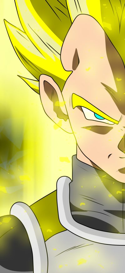 Fond d'écran iPhone Vegeta Dragon Ball Super 8k