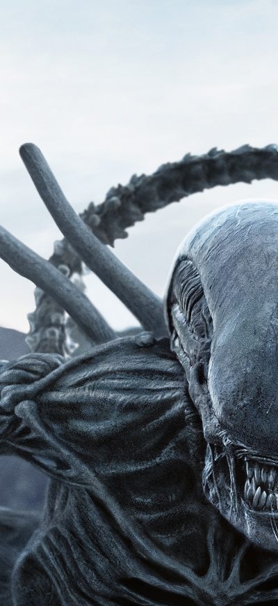 Fond d'écran iPhone Alien In Alien Covenant