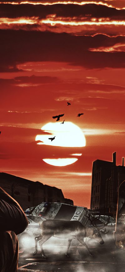 Fond d'écran Runined City 4k sur iPhone