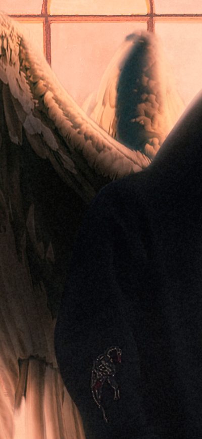 Fond d'écran iPhone Hoodie Guy With Wings 4k