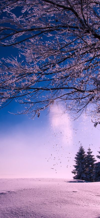 Fond d'écran iPhone Winter Snow Sunset Dusk Sky Clouds Landscape