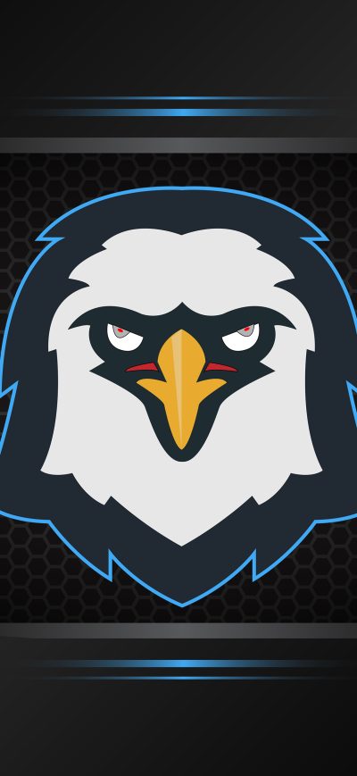 Fond d'écran iPhone Eagle Minimalism Logo 4k