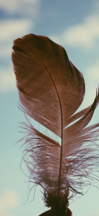 Fond d'écran iPhone Feather Sky 4k