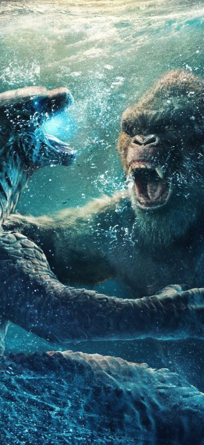Fond d'écran iPhone Godzilla Vs Kong Chinese Poster 5k