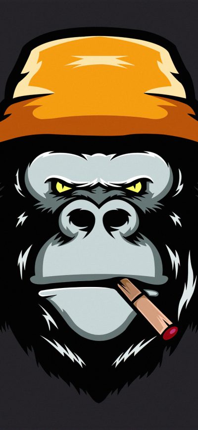 Fond d'écran iPhone Angry Gorilla Minimal 4k