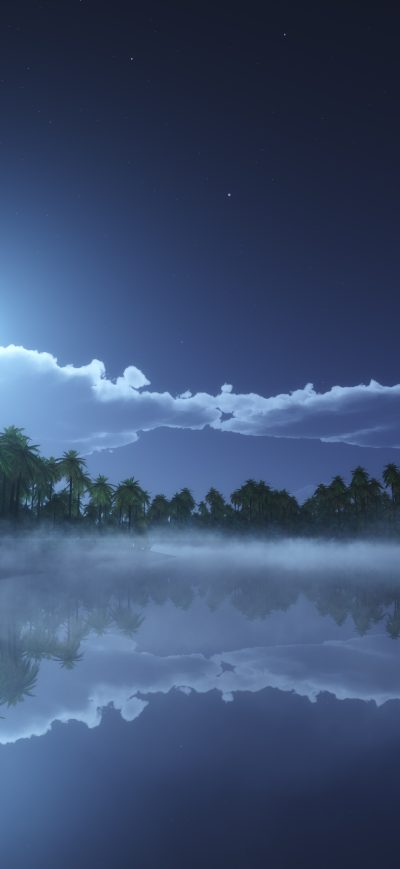 Fond d'écran iPhone Tropic Cold Night 4k