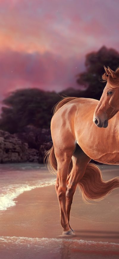 Fond d'écran iPhone Horse On Beach Artwork