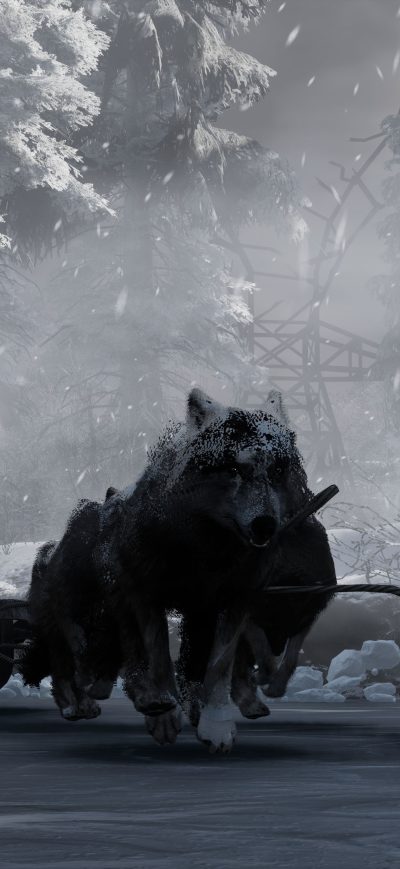 Fond d'écran iPhone 2018 Fade To Silence Best Video Game