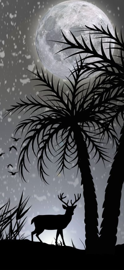 Fond d'écran iPhone Reindeer Dark Night Moon Minimalist
