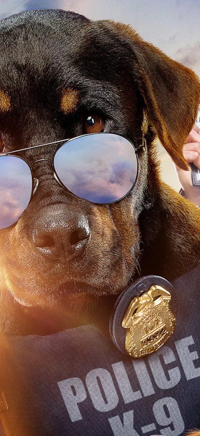 Fond d'écran iPhone Show Dogs 2018