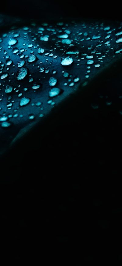 Fond d'écran iPhone Leaf Dew Drops Droplet 4k