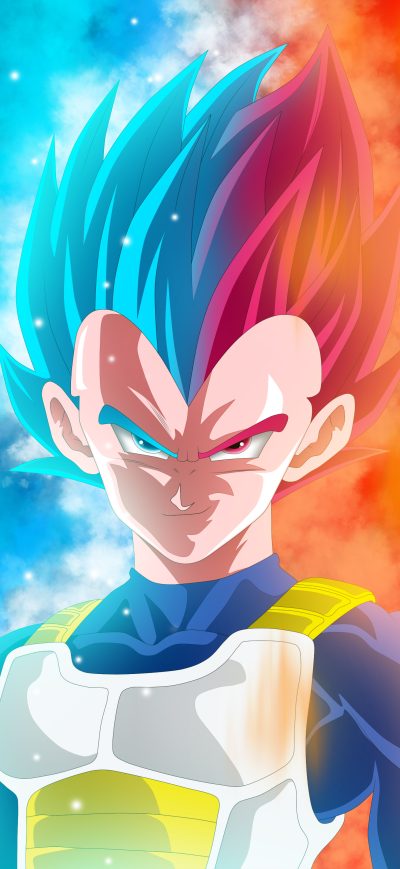 Fond d'écran iPhone Vegeta Dragon Ball Super