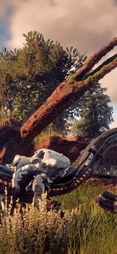 Fond d'écran iPhone Game Horizon Zero Dawn