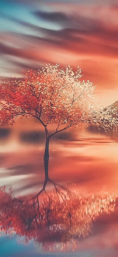Fond d'écran iPhone Trees Fantasy Art