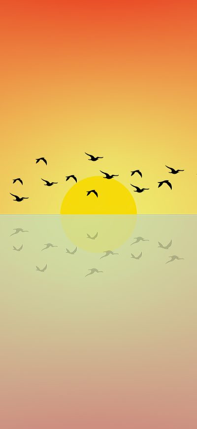 Fond d'écran iPhone Birds Flying Sun Minimal 4k