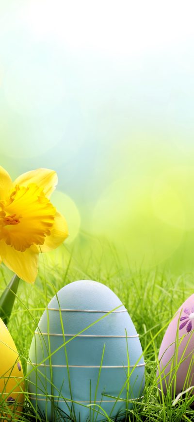 Fond d'écran iPhone Holiday Easter Egg