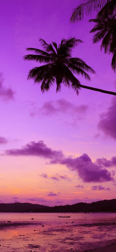 Fond d'écran iPhone Purple Palm Tree