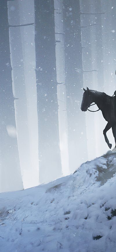 Fond d'écran iPhone Man Horse Walking Through Woods 4k