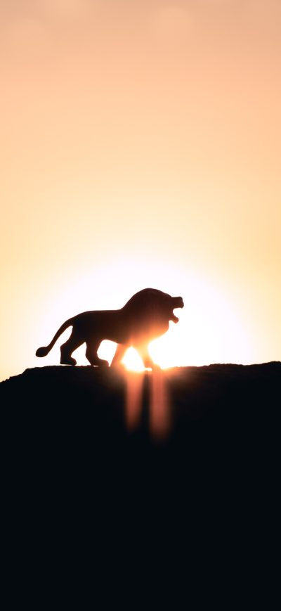 Fond d'écran iPhone Lion Roaring On Top Of Mountain 5k